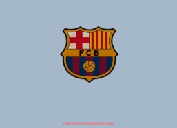 看球通-聚焦世俱杯交通便利性：主办国公共交通网络覆盖情况研究