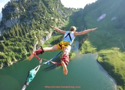 看球通-火箭队2010年全体球员名单及主要数据分析