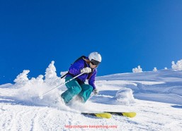 看球通-世俱杯赞助商品牌联动策略研究：联合营销如何打破行业壁垒