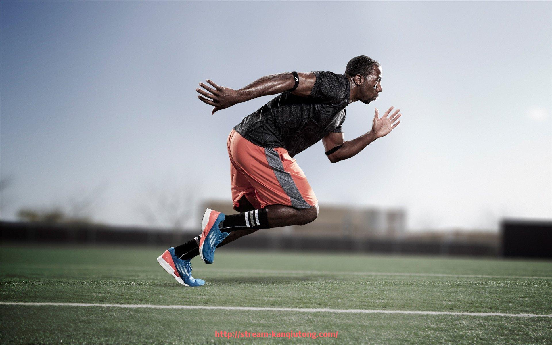 看球通-健身器材怎么练大腿最有效：基于体育解剖学的使用建议